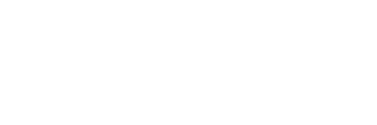 beachwaver